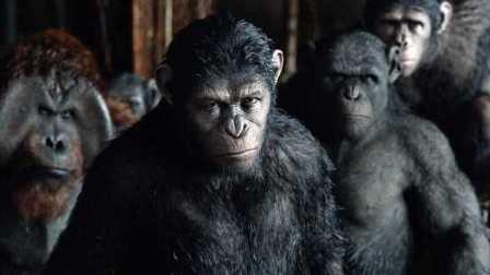 猩猿崛起在线观看,智勇逆袭,重铸家园传奇 第1张 猩猿崛起在线观看,智勇逆袭,重铸家园传奇 第1张