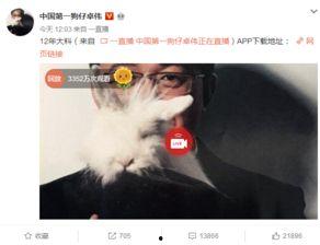 真实爆料白百何事件视频  第3张